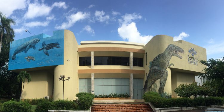 Se publica nuevo número de la revista científica Novitates Caribaea