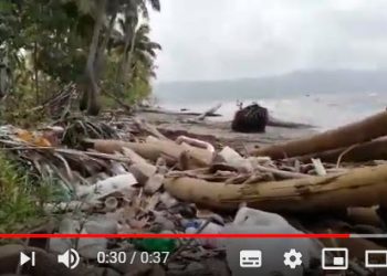 Samaná, Vogue y la verdad medioambiental en las playas