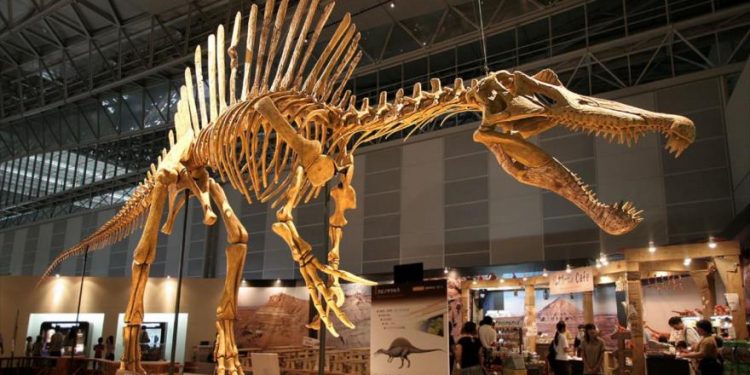 Descubierta una nueva especie de dinosaurio en Brasil