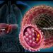 El Día Mundial contra la Hepatitis: La pandemia de COVID-19 pone en peligro los progresos futuros