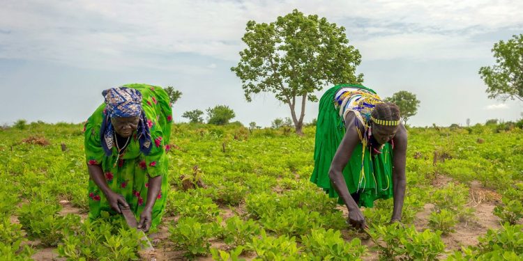PNUD: ingreso básico a personas pobres reducirían casos de COVID-19.
