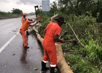 Brigadas del MOPC retiran ramas y escombros de vías