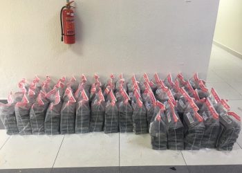 DNCD informa decomiso 298 paquetes de cocaína o heroína en la provincia Peravia