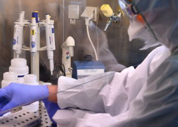 OMS advierte una vacuna anti COVID-19 no debe acelerarse a costa de la seguridad