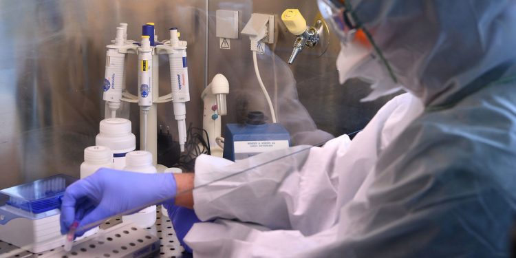 OMS advierte una vacuna anti COVID-19 no debe acelerarse a costa de la seguridad