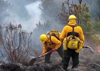 Jorge Mera valora rol bomberos forestales