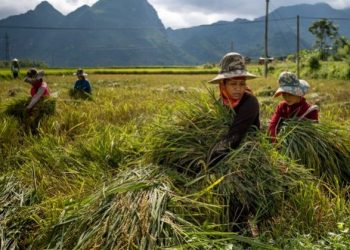 Los argumentos a favor de una renta básica universal