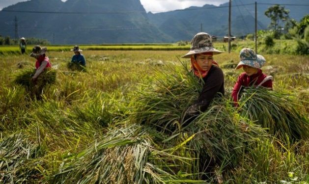 Los argumentos a favor de una renta básica universal