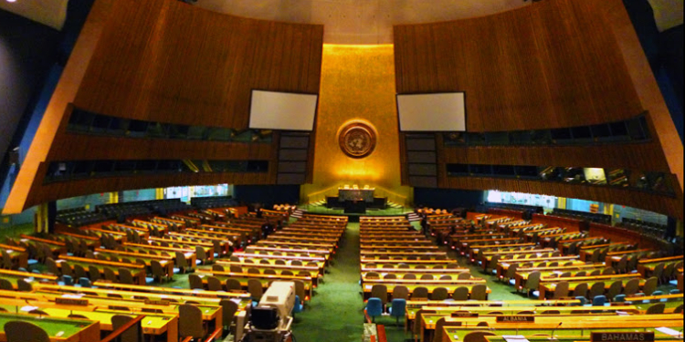 ¡La ONU tiene datos curiosos que debe conocerlos!