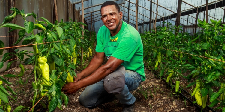 Banco Adopem desembolsa cerca de 8,500 créditos agropecuario