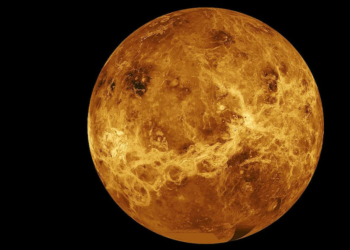 ¡Vida en el espacio¡ Gas en Venus lo confirmaría