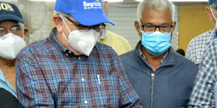 RD$50 millones para productores de tabaco en Valverde