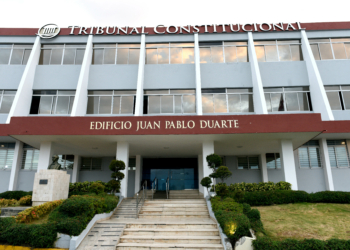 Tribunal Constitucional decidió 11 expedientes
