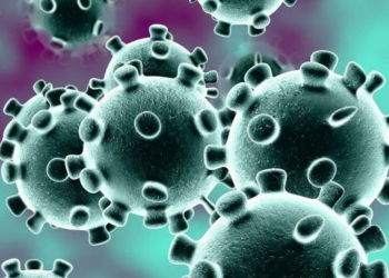 El riesgo del coronavirus del que no se habla: la alimentación