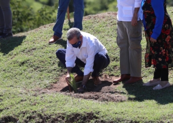 Gobierno inicia plan para aumentar cobertura boscosa