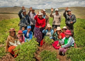 Se unifica el discurso agrícola de América Latina y el Caribe