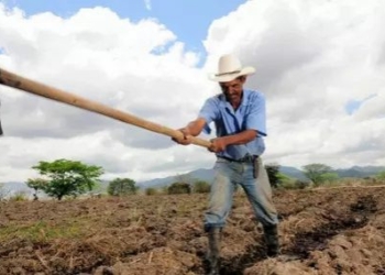 Explican cómo se  puede revertir la sequía en América Central y República Dominicana