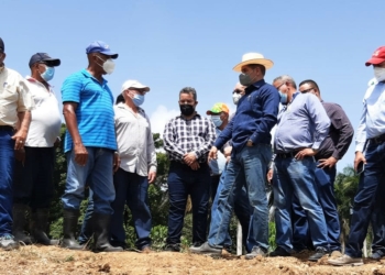 Gobierno brindará auxilio a productores región Este
