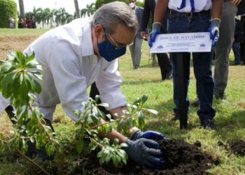 Abinader siembra árboles en el Palacio Nacional
