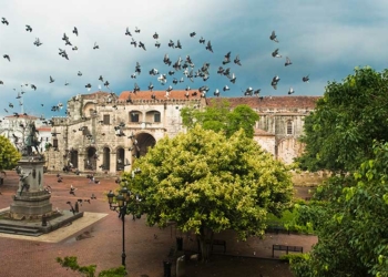 Las aves que habitan a Santo Domingo