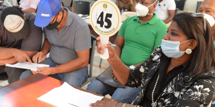 DGA logra la mayor recaudación en subastas con RD$33.7 millones