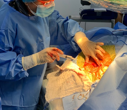 Colocan el primer dispositivo intracardíaco en Clínica de Puerto Plata