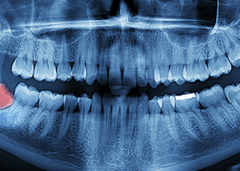 Científicos encuentran evidencias claras de evolución humana