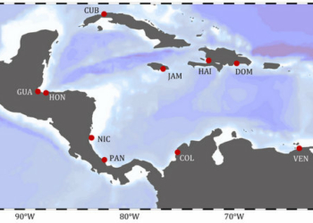 Crece acumulación de sedimentos en costas del Caribe