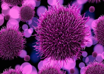 Unos 850 mil virus podrían convertirse en pandemia, más mortales que Covid-19