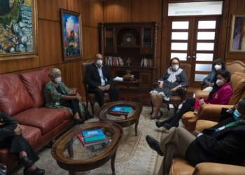 Las investigaciones que Mirian German Brito debe iniciar según Marcha Verde