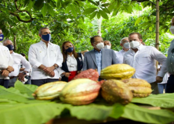 Gobierno financiará 300 mil tareas de cacao y dispone línea crédito por RD$800 millones