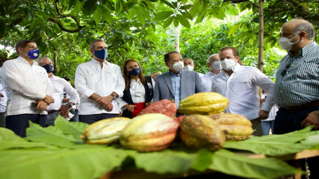 Gobierno financiará 300 mil tareas de cacao y dispone línea crédito por  RD$800 millones - DiarioDigitalRD