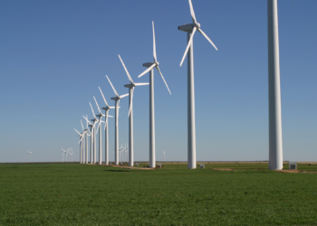 Crecen inversiones de los bancos verdes