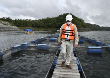 RD ahorra US$ 28.6 millones en compra de petróleo por aporte hidroeléctrico