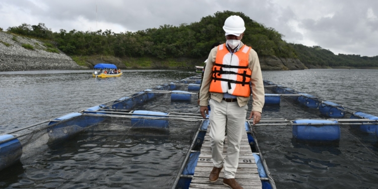 RD ahorra US$ 28.6 millones en compra de petróleo por aporte hidroeléctrico