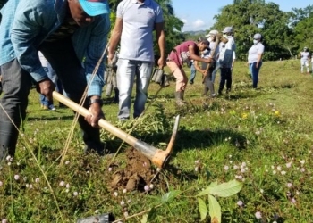 Desarrollo Fronterizo realiza jornada de reforestación en Loma de Cabrera
