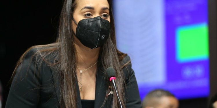 Diputada SDN saluda construyan puente paralelo al Francisco Peynado