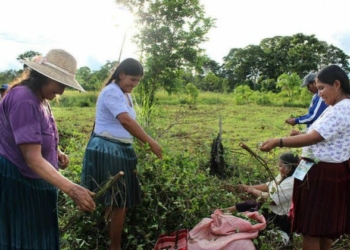Informe recomienda profunda revisión de la política antidrogas de EEUU