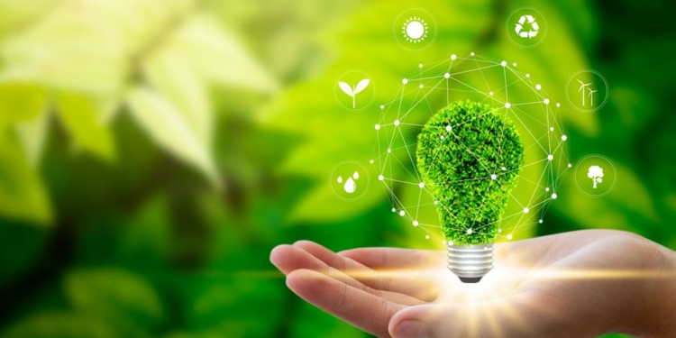 HanesBrands lidera compañías luchan contra el cambio climático