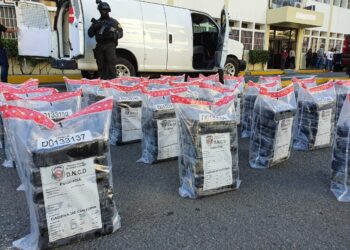 Decomisan 156 paquetes de cocaína en Barahona