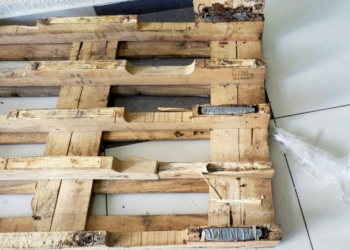 Decomisan cocaína serían enviada a EE.UU en paletas de madera