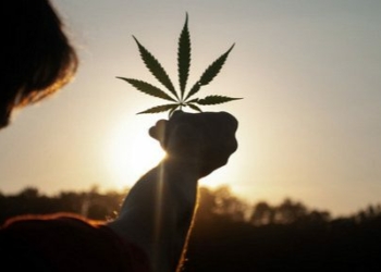 La marihuana sale de la lista negra de la ONU