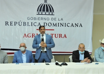 Garantizan abasto de pollo, huevos y cerdos en Navidad y Año nuevo