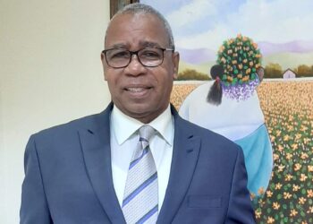 Castillo salas afirma miembros Cámara de Cuentas han cometido prevaricación