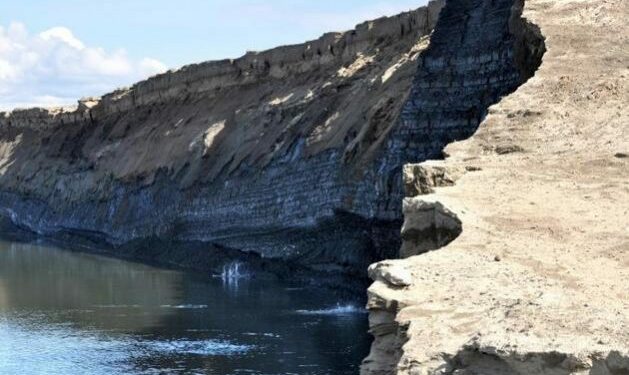 Científicos presentan 10 claves para encarar la crisis climática