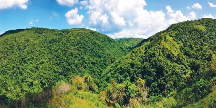 Concepción recuerda Abinader rechazo en 2014 explotación Loma Miranda