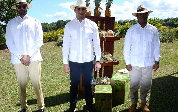 Embajadores dominicanos visitan proyecto de piñas de Monte Plata