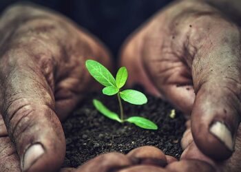 Scotiabank se une a Mastercard para el lanzamiento de la Coalición Priceless Planet en el Caribe