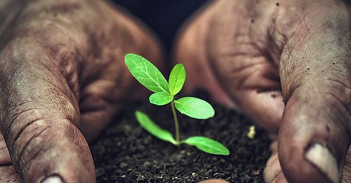 Scotiabank se une a Mastercard para el lanzamiento de la Coalición Priceless Planet en el Caribe