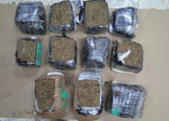 Ocupan más de 22 libras de marihuana serían enviadas a San Martín